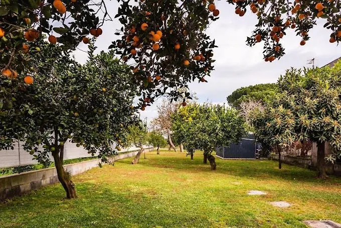 Holiday home Oasi Agrumi E Mare Mascali
