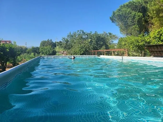 Oasi Agrumi E Mare Mascali Holiday home